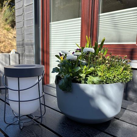 Dein Winterberg Apartment - Wifi Geschirrspueler Smart Tv Номер фото